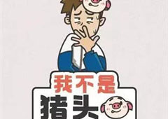 我不是猪头第1关怎么过 什么人一年只工作一天关卡答案