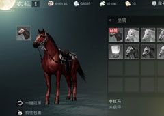 楚留香手游枣红马怎么得 枣红马属性及获取方法