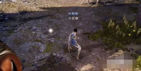 黑色沙漠手游图片3