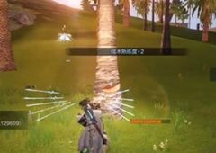 妄想山海古椰树哪里有 古椰果在哪里可以找到