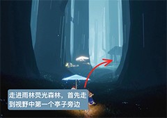 光遇雨林捉迷藏先祖在哪里 地点位置兑换图攻略
