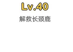 脑洞大师第40关怎么过 解救长颈鹿关卡攻略