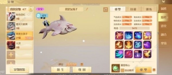 梦想新大陆宠物图片