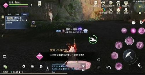 天涯明月刀手游五行藏珍锦鲤土任务图文攻略3