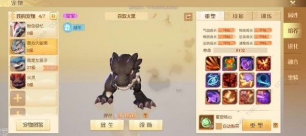 梦想新大陆宠物图片