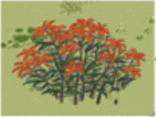 江南百景图野草图