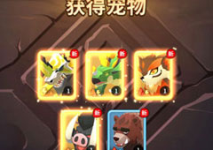 不休的乌拉拉法师带什么宠物 宠物携带推荐攻略