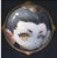 八刃魔童