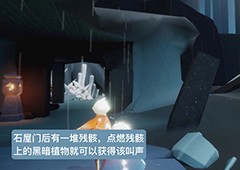 光遇雨林鱼叫先祖在哪里 地点位置流程攻略