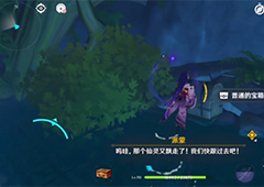 原神鸣海栖霞洞天宝宝箱在哪 全部位置介绍