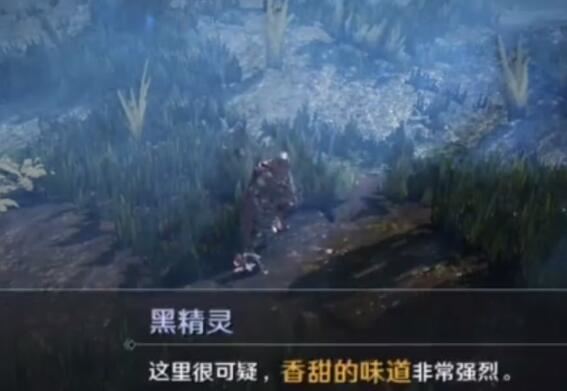 黑色沙漠手游图片6