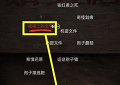 孙美琪疑案DLC张红君汇仁社线索关联方法介绍