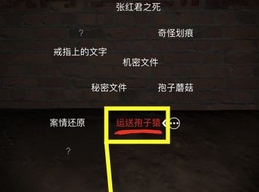 孙美琪疑案DLC张红君线索图片