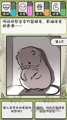 竹鼠1