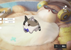 猫之城怎么训练猫球 详细方法介绍