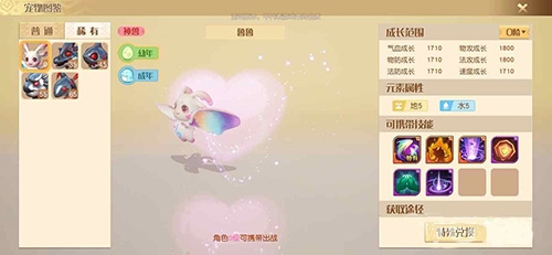梦想新大陆宠物图片
