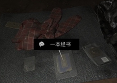 孙美琪疑案DLC张红君一本经书线索位置介绍