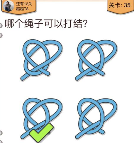 我不是猪头第35关图
