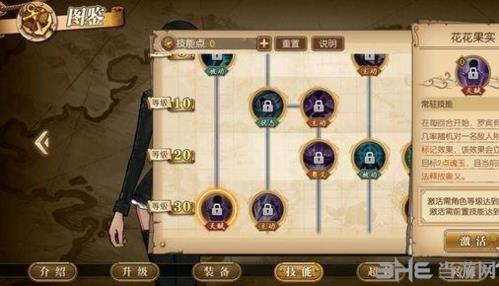 航海王燃烧意志罗宾图片5