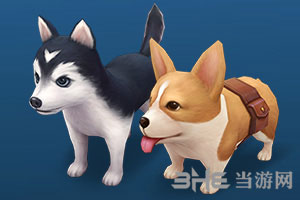 逃跑吧少年巡逻犬3