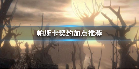 帕斯卡契约加点推荐