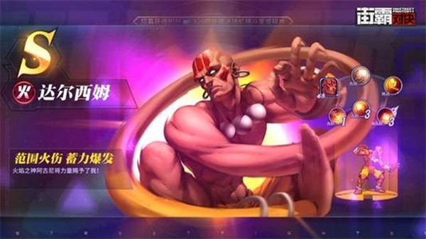 街霸对决达尔西姆图片