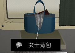 孙美琪疑案杜翠兰女士背包线索获得方法