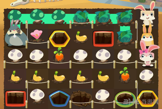 兔子复仇记龙舌兰高原图片