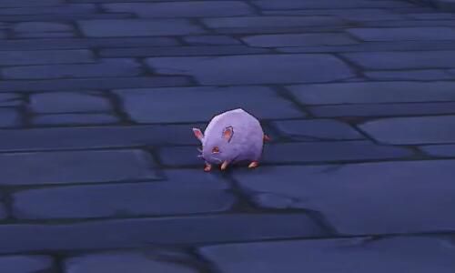 仙境传说RO手游蓝鼠截图2