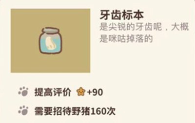 动物餐厅牙齿标本图片