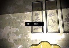 孙美琪疑案夏小梅菊花线索获取方法