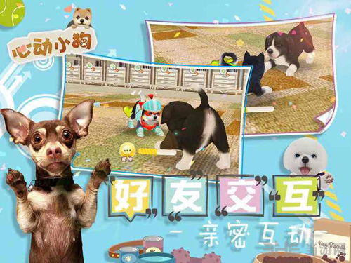 心动小狗图片