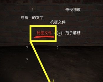 孙美琪疑案DLC张红君线索图片