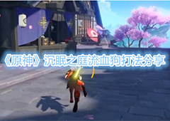 原神沉眠之庭流血狗怎么打 怪物打法攻略