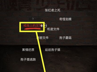孙美琪疑案DLC张红君线索图片