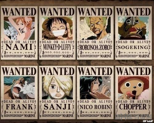 海盗来了通缉令图片