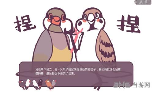 咕啾!文鸟恋爱物语图