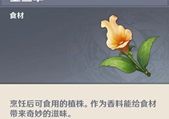 原神金鱼草怎么获取 材料分布图介绍