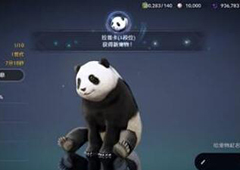 黑色沙漠手游熊猫怎么获得 获取方法攻略