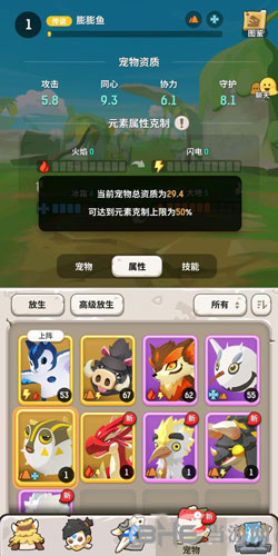 不休的乌拉拉宠物