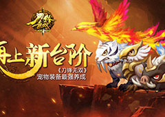 再上新台阶  《刀锋无双》宠物装备最强养成