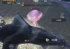 妄想山海石镜鱼在哪 粉色水母获得方法