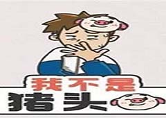我不是猪头第206关怎么过 最好玩的益智类游戏是什么关卡攻略