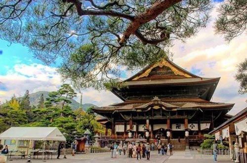 旅行青蛙信州善光寺图片3