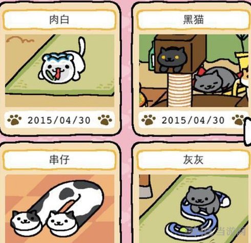 猫咪后院特殊猫图片