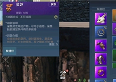 妄想山海红莲灯鱼在哪钓 红莲鱼垂钓地点介绍