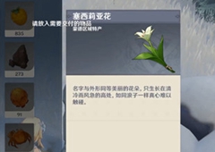 原神雪山三个匣子供奉花朵攻略