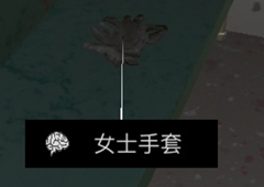 孙美琪疑案杜翠兰女士手套线索获得方法