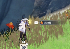 原神火焰花怎么采集 烈焰花刷新位置介绍