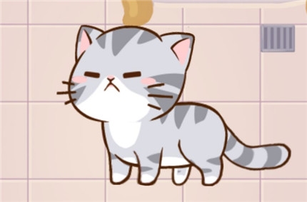 猫宅97图
